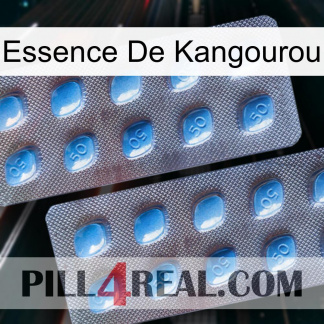Kangaroo Essence viagra4